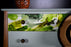 Forest Ink Chest